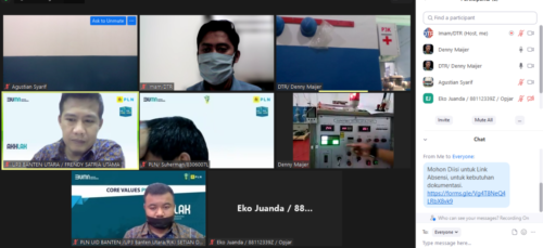 Virtual Zoom with PLN